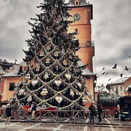Wood House Republicii Brasov