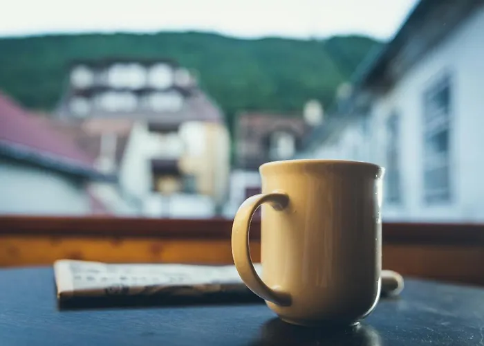 Wood House Republicii 3* Brasov