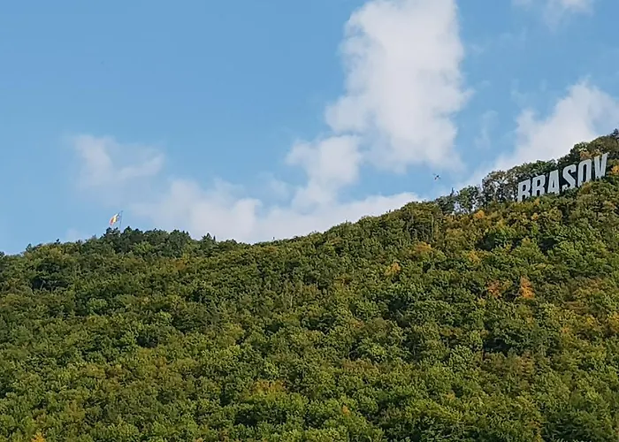 Wood House Republicii Aparthotel 3*